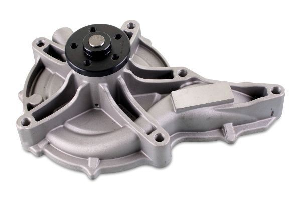 HEPU P9917 Wasserpumpe