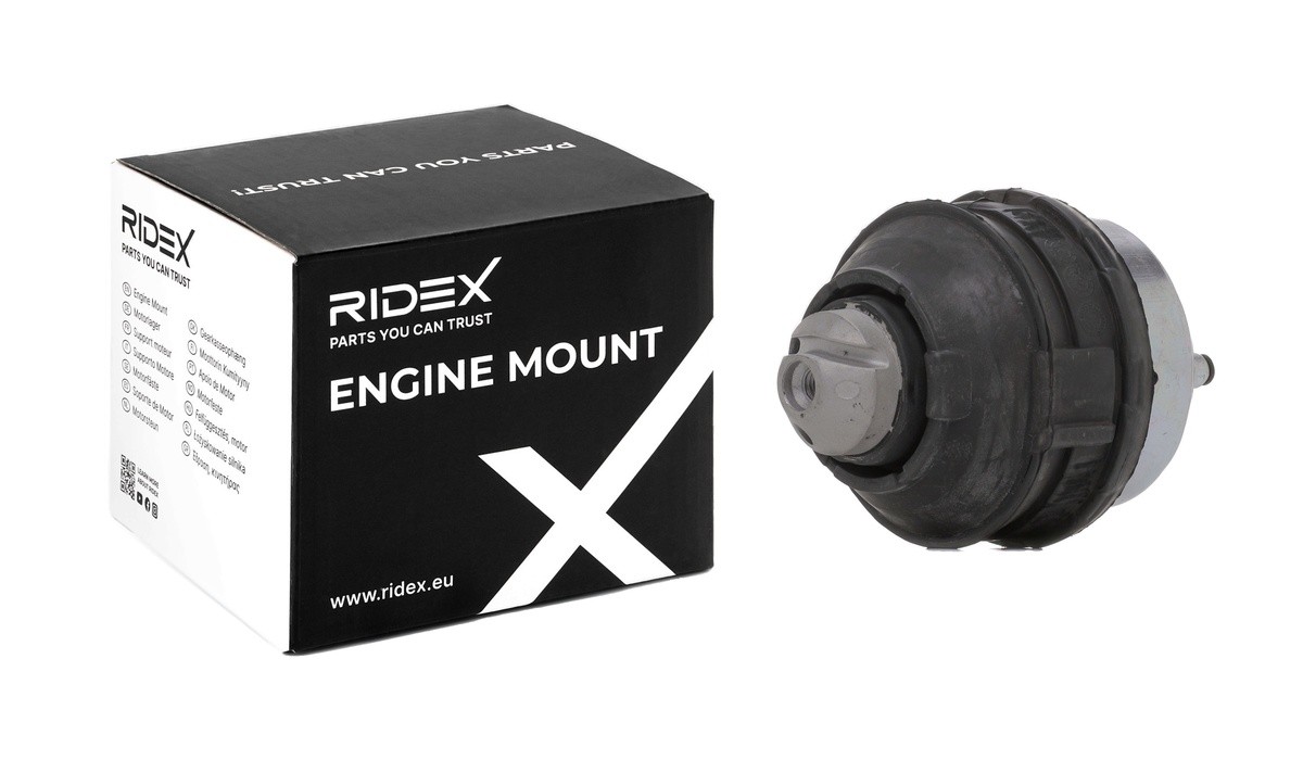 RIDEX 247E0123 Motorlager
