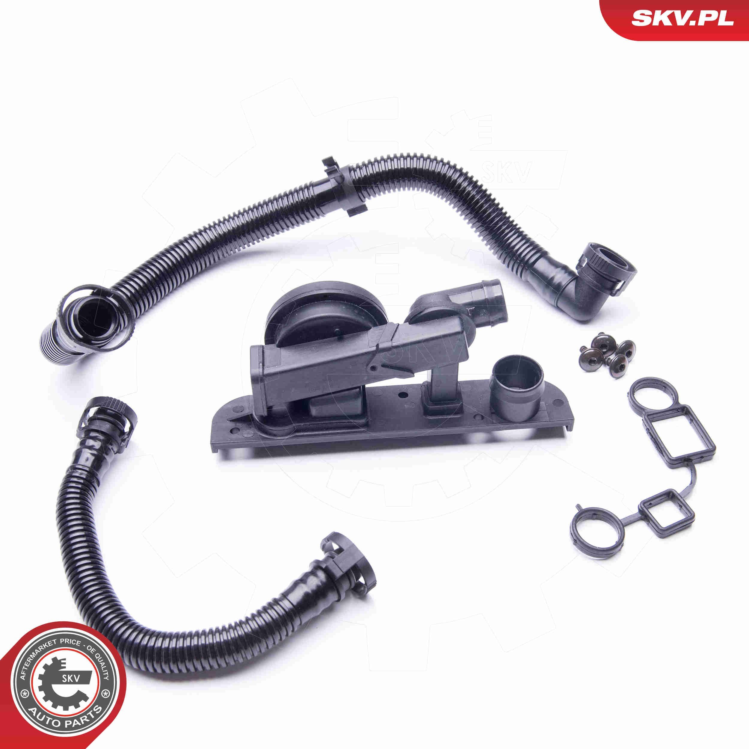 ESEN SKV Set reparatie, aerisire baie ulei număr articol: 31SKV005 ieftin