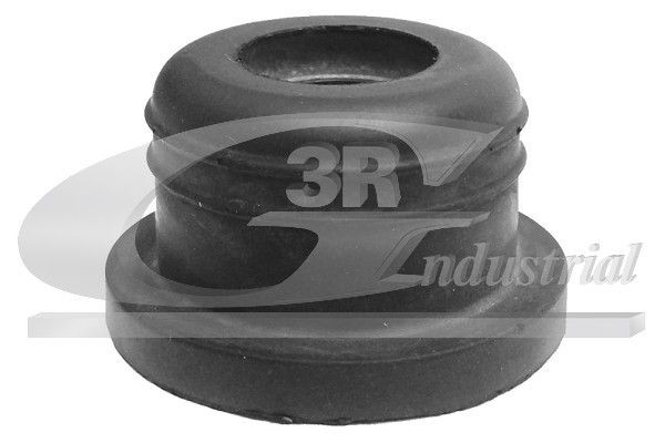 3RG Garnitura, pompa / rezervor spalare parbriz număr articol: 88704 ieftin