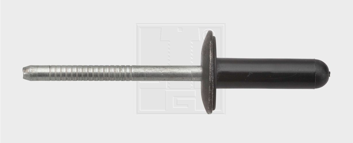 SWGAutomotive Remache expandible Número de artículo: 50051316 a buen precio