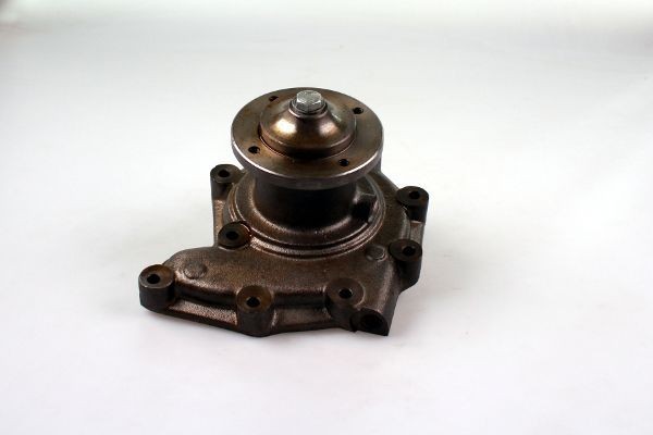 HEPU P9938 Wasserpumpe