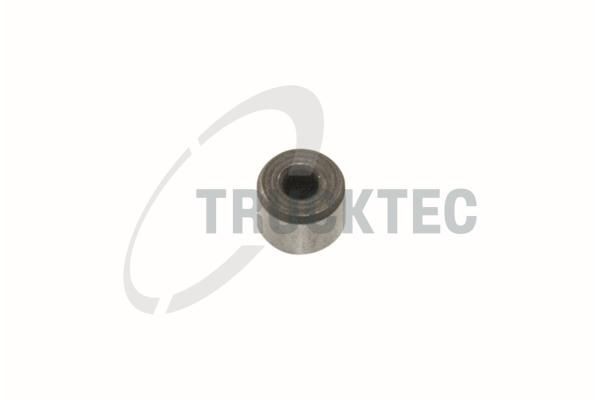 TRUCKTEC AUTOMOTIVE 01.24.079 Bolzen