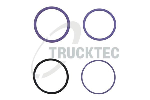 TRUCKTEC AUTOMOTIVE Комплект гарнитури, впръскваща дюза артикулен номер: 03.10.036 евтино