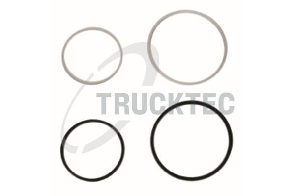 TRUCKTEC AUTOMOTIVE Комплект гарнитури, впръскваща дюза артикулен номер: 04.13.046 евтино