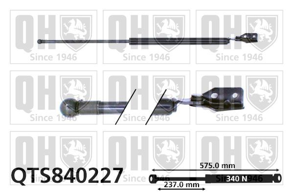 QUINTON HAZELL Tailgate strut Article number: QTS840227 cheaply