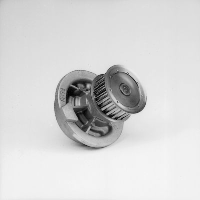 HEPU P337 Wasserpumpe