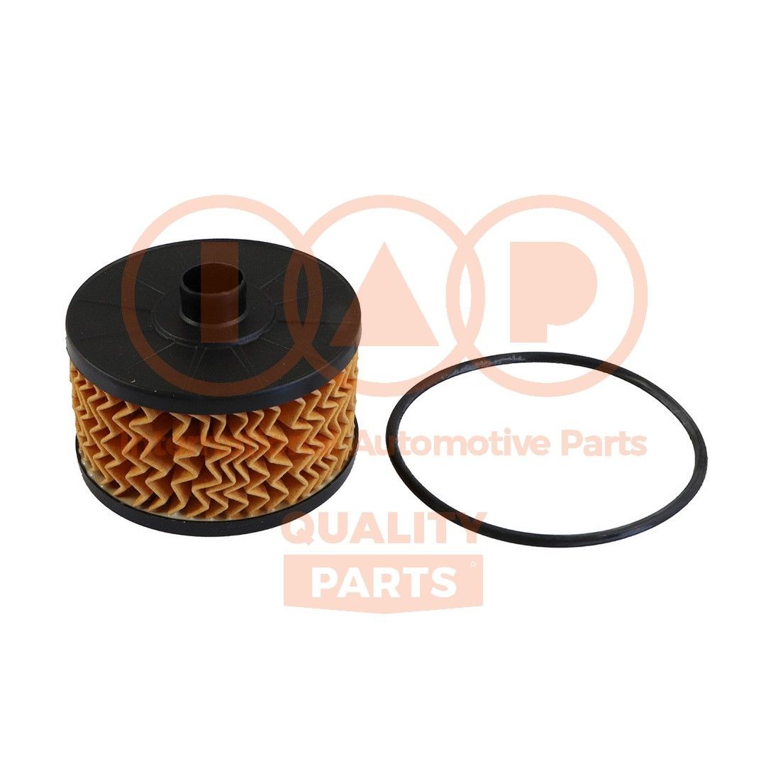 IAP QUALITY PARTS Oljni filter številka artikla: 123-13111 poceni