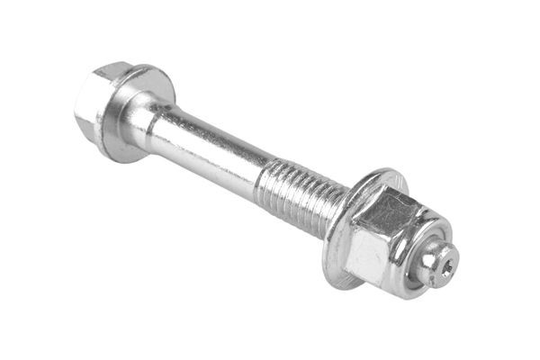 OEM Surub, brat oscilant 00228320 de la TEDGUM
