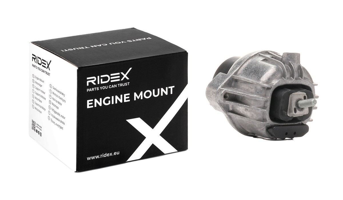 RIDEX 247E0443 Motorlager