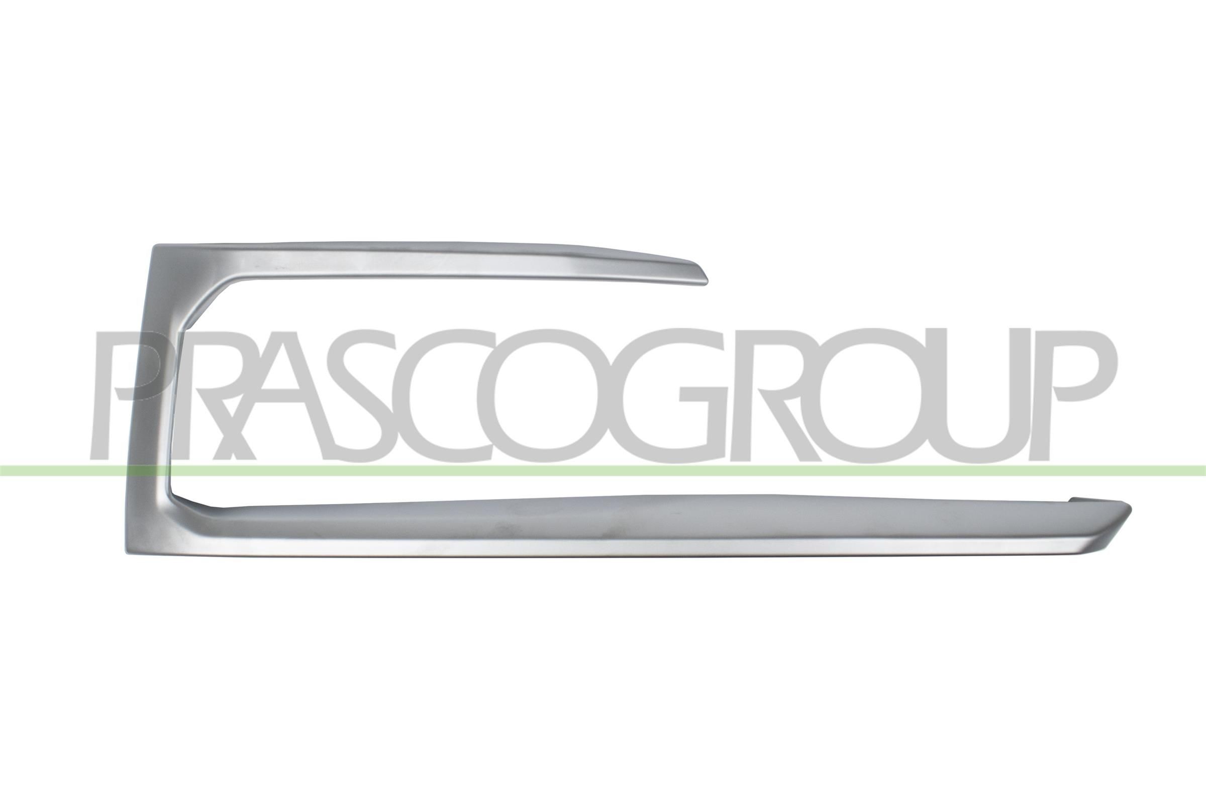 PRASCO Pynte- / vernelist, støtfanger artikkelnummer: BM8281247 billig
