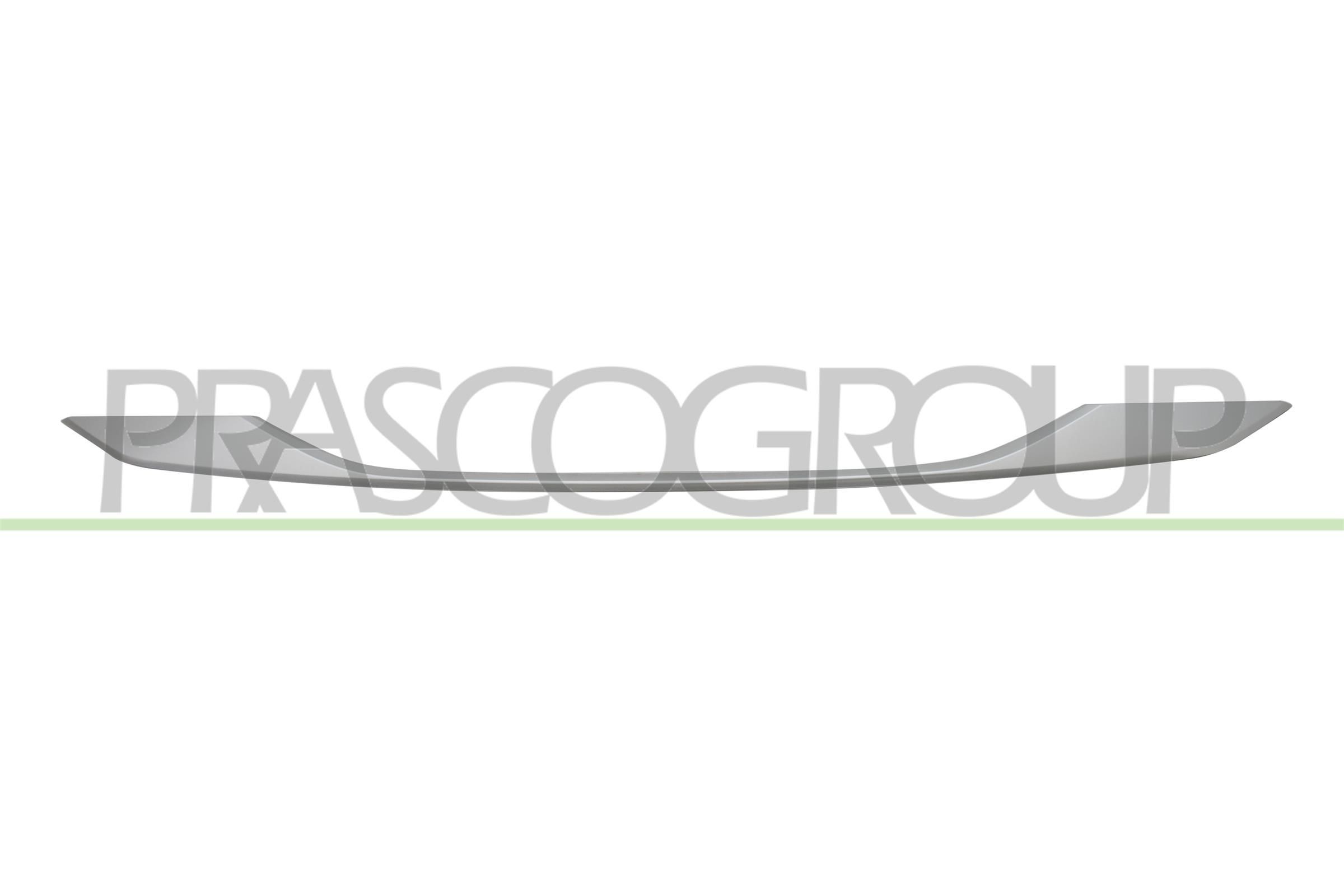 PRASCO Pynte- / vernelist, støtfanger artikkelnummer: PG5041245 billig