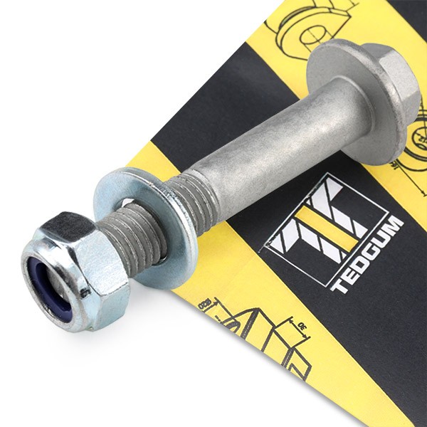 OEM Surub, brat oscilant 00228297 de la TEDGUM