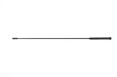 BSG Antenna autoradio Numero articolo: BSG 30-922-073 poco costoso