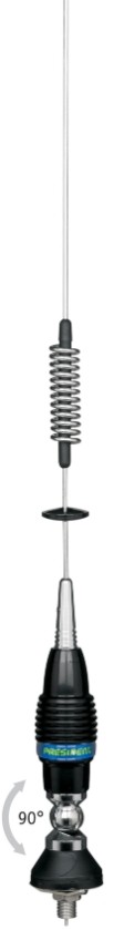 PRESIDENT Antenna autoradio KENTUCKY Numero articolo: AMMI097 poco costoso