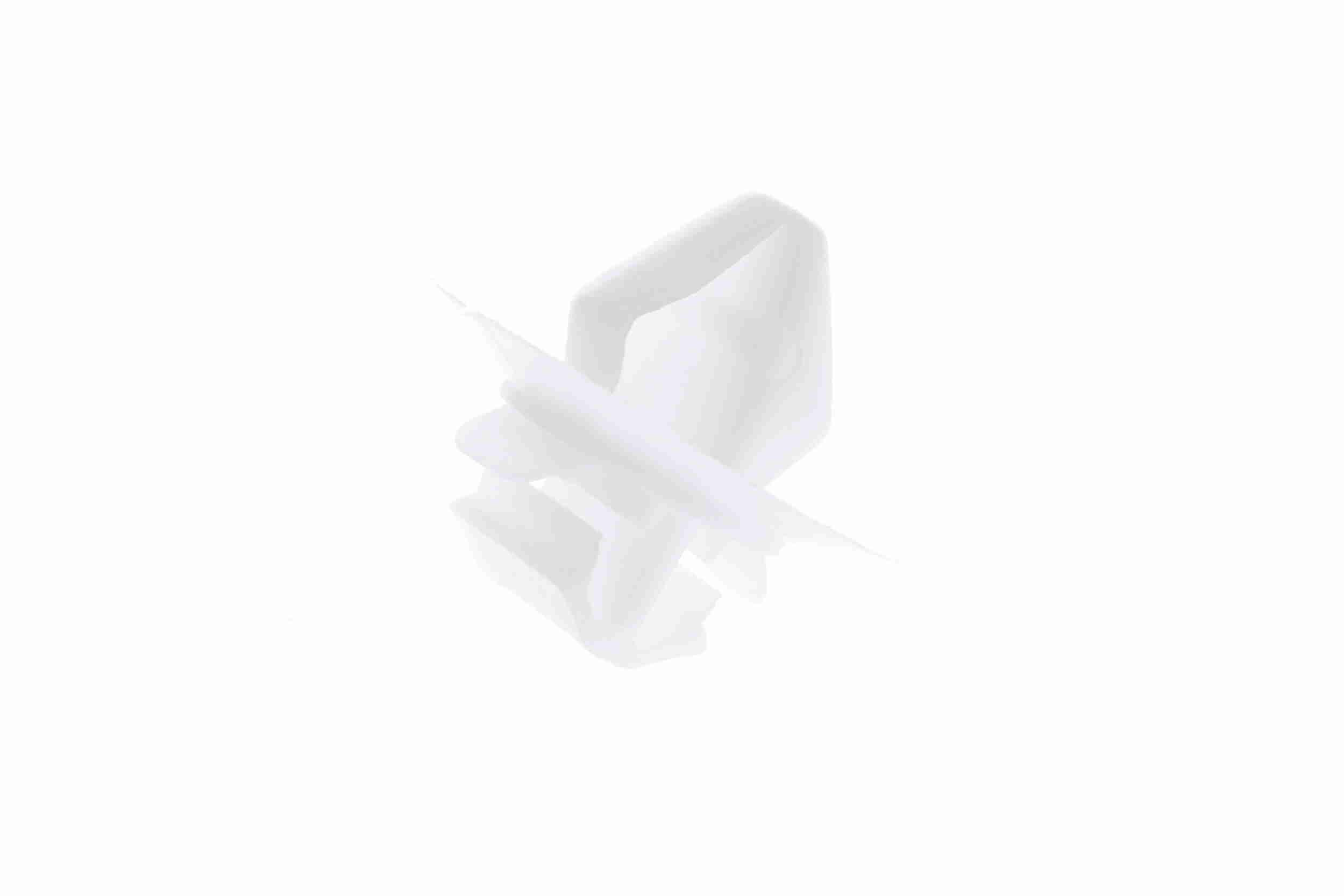 VAICO Clips, side- / beskyttelseslister Varenummer: V42-0381 billige