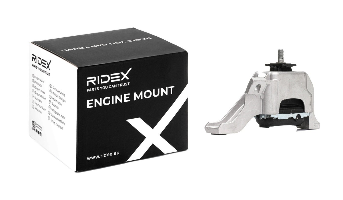RIDEX 247E0550 Motorlager