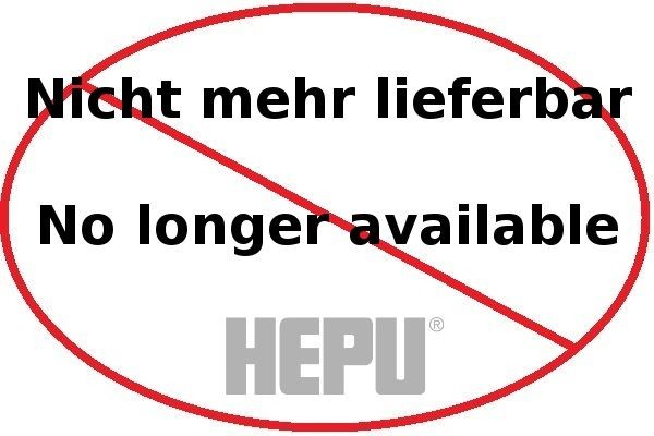 HEPU P280 Wasserpumpe