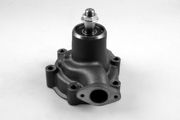 HEPU P9908 Wasserpumpe