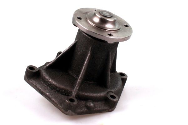 HEPU P9914 Wasserpumpe