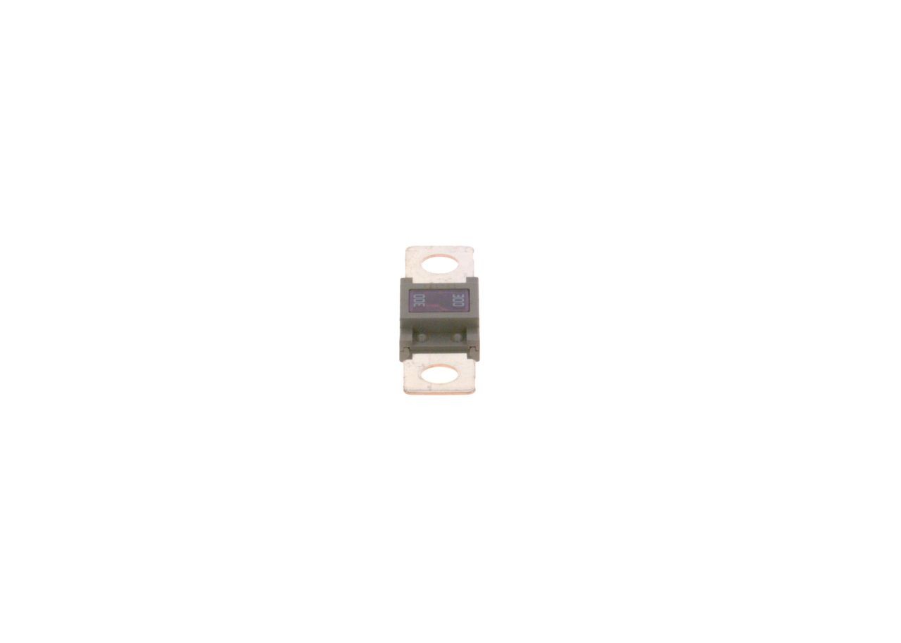 BOSCH Fusible UGS: 1 987 531 007 à bon prix