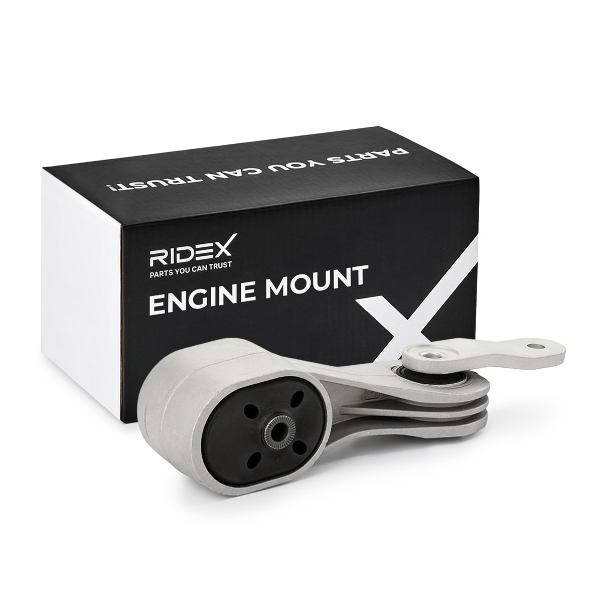 RIDEX Support moteur UGS: 247E1231 à bon prix