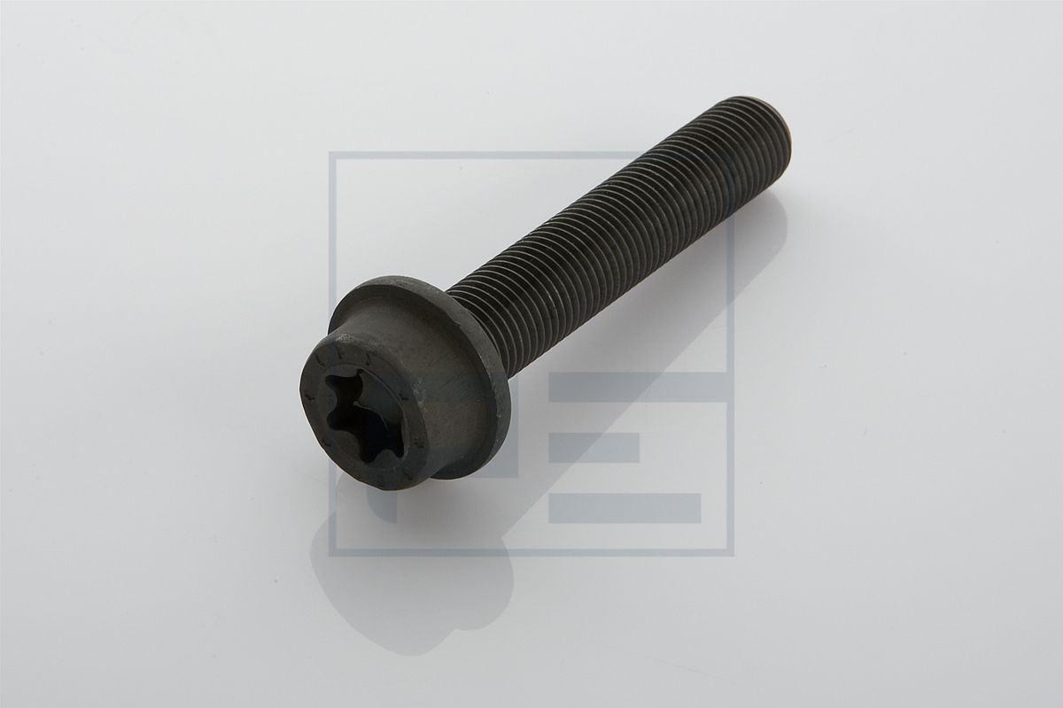 PETERS ENNEPETAL Vis, disque de frein UGS: 016.176-00A à peu de frais